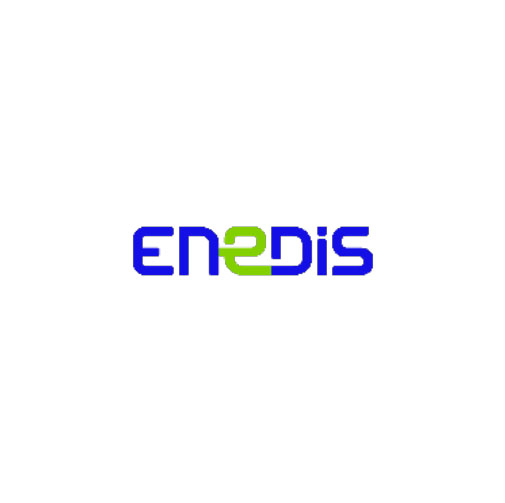 logo - enedis-1