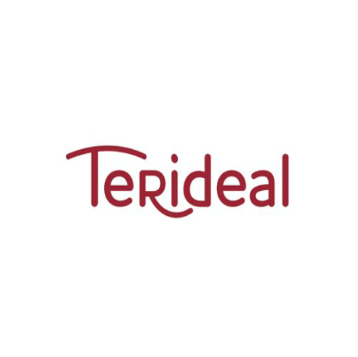 logo - terideal